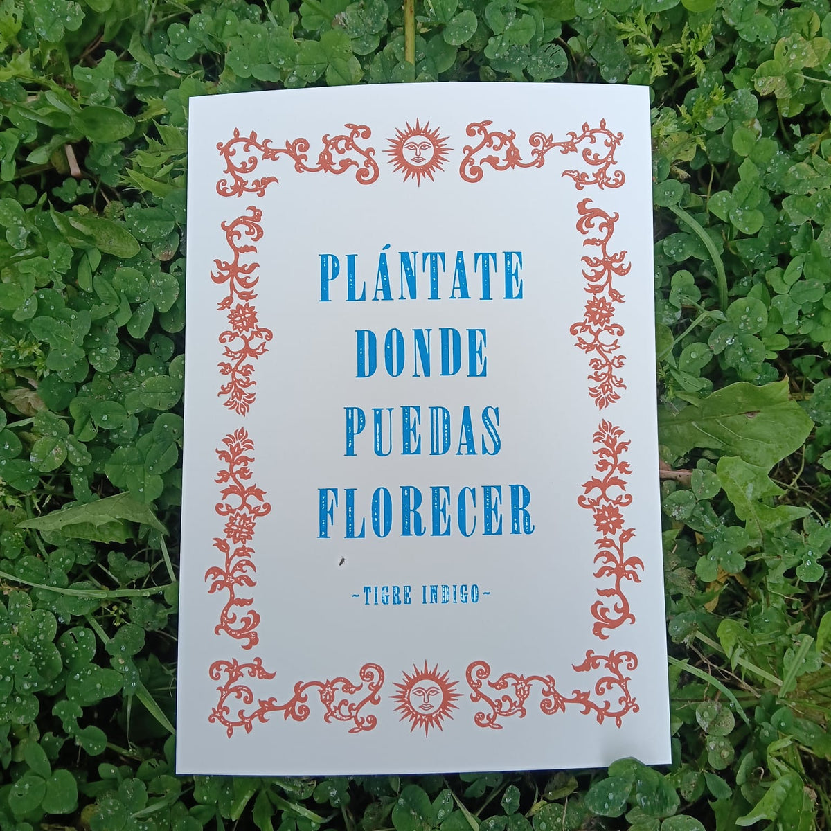 Plántate Florecer - Print Edición Limitada