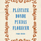 PLÁNTATE FLORECER